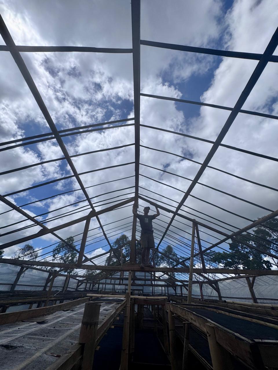 Expanding in Manggarai: Our Second Coffee Greenhouse for Farmer Partnership