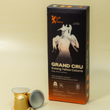 Grand Cru Gulang Yellow Caturra coffee capsule flat lay, Kafe de Flores Manggarai Flores Indonesia